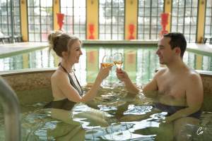 Georges Blanc Hotels &amp; Restaurants