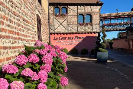 Hotel Georges Blanc cour aux fleurs Vonnas