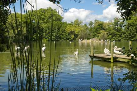 Activities &amp; Leisure in Ain, Bresse · Georges Blanc